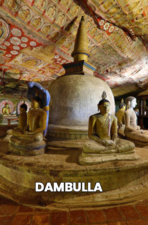 dambulla-3